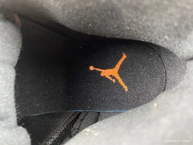 80% Off Sale Jordan Brilliant Orange Air 12 WMNS FD9101-081 0501